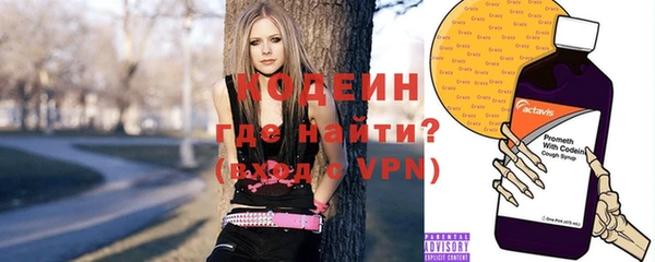 прущие грибы Алзамай