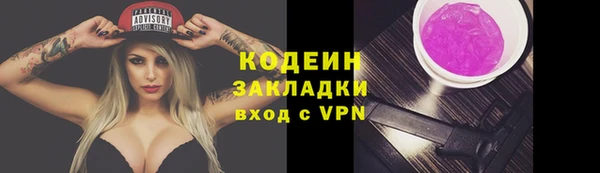 прущие грибы Алзамай
