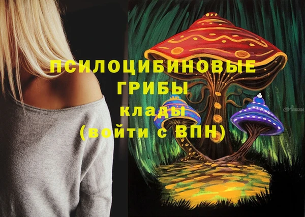 твердый Алексеевка