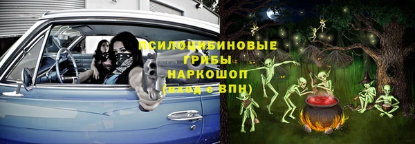 прущие грибы Алзамай